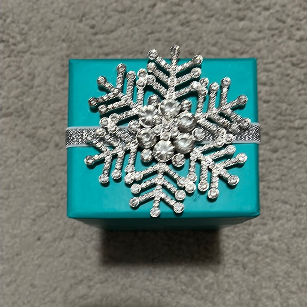 Tieks by Gavrieli Teal Box